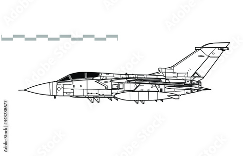 Panavia Tornado F3, Tornado ADV. Vector drawing of interceptor aircraft. Side view. Image for illustration and infographics.