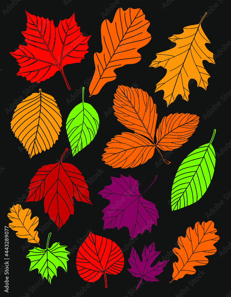 Colored autumn leaves painted on a black background. Vector