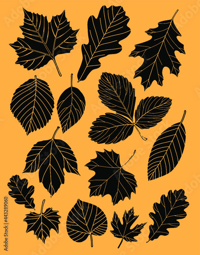 Autumn leaves painted in black on a color background. Vector