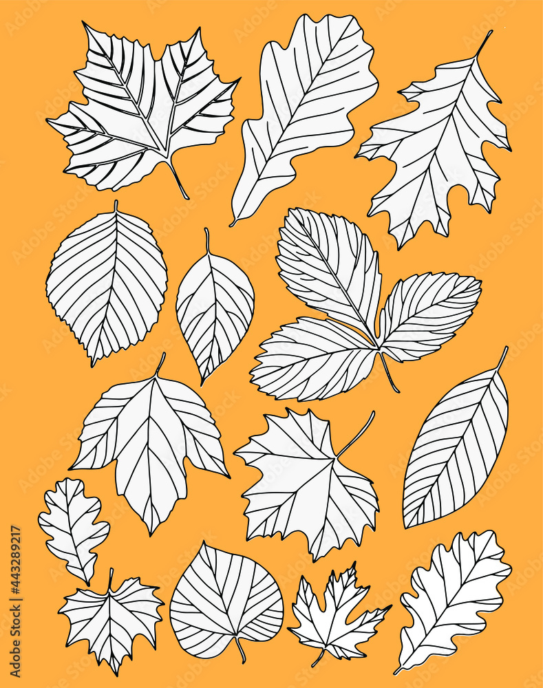 Obraz premium Autumn leaves are painted black on a yellow background. White with black outline. Vector