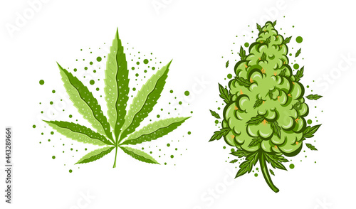 Cute funny happy marijuana weed bud with cannabis vape.Vector flat cartoon character illustration icon design. Cannabis with graffiti crown Isolated on white background.Weed bud,marijuana,medical bud photo