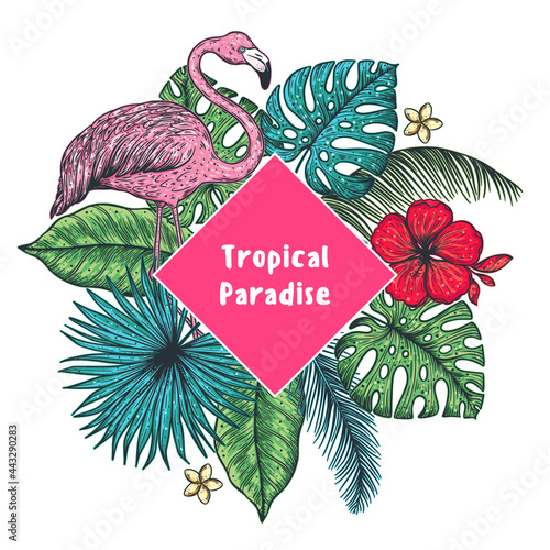 Tropical design template. Flamingo and palm leaves vector illustration. Summer design.