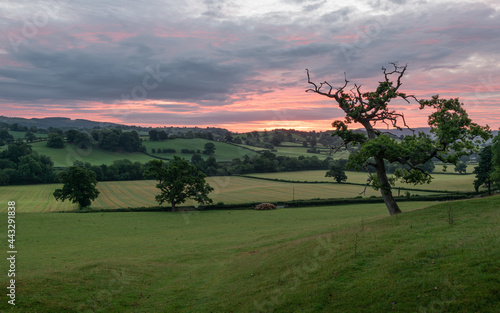 Sunrise over hilly countryside