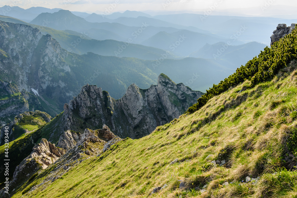 Fototapeta premium View of the Western Tatras from Kondracka Pass. Tatra National Park