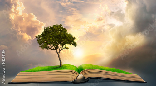 Photography lonely big tree growing up on ancient books like a painting in literature