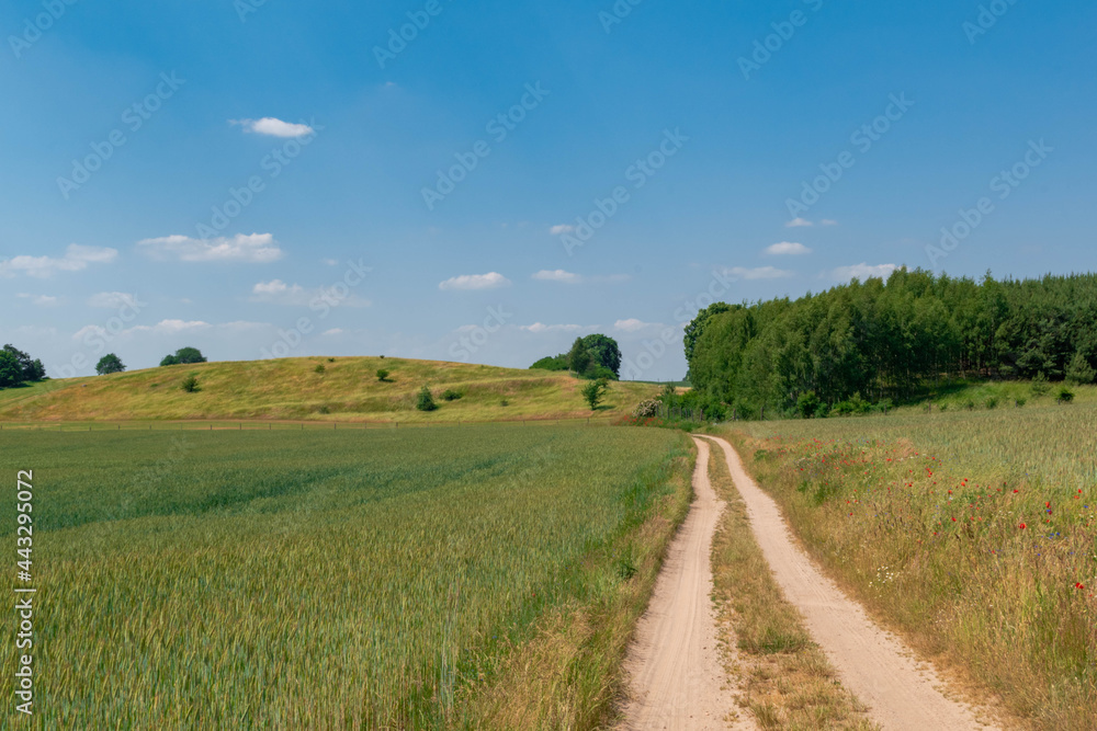 road in the countryside