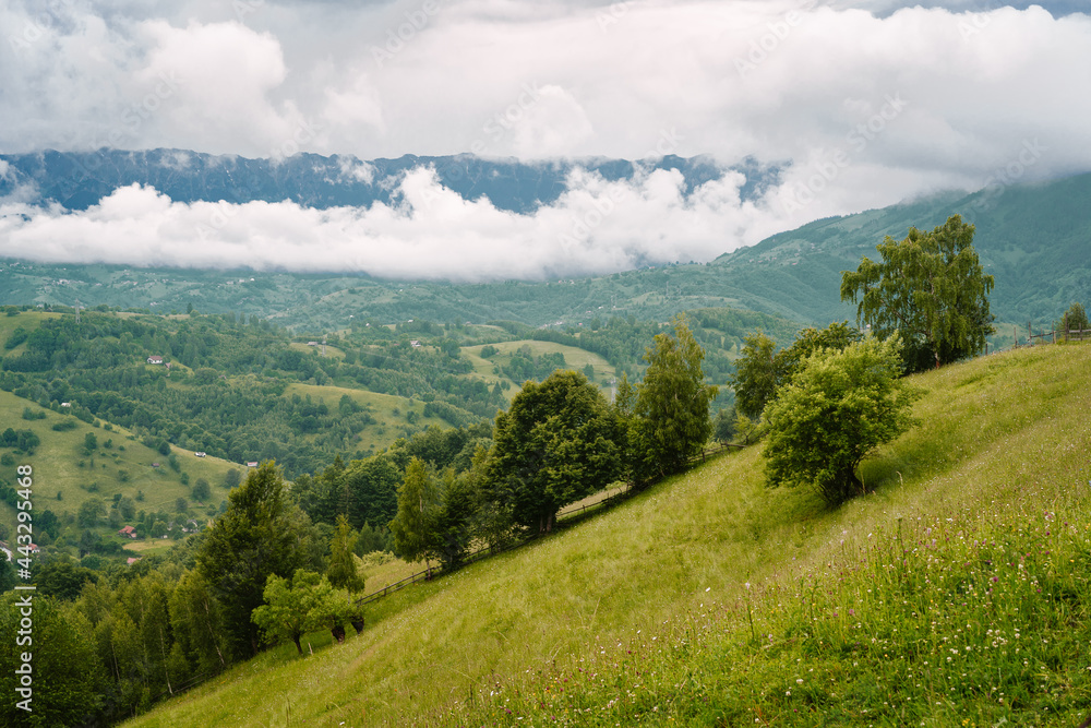 Naklejka premium landscape with mountains and clouds