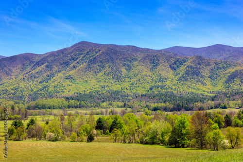 Cades cove ridge