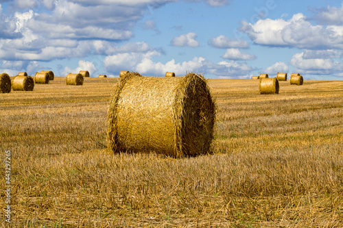 haystacks with straw
