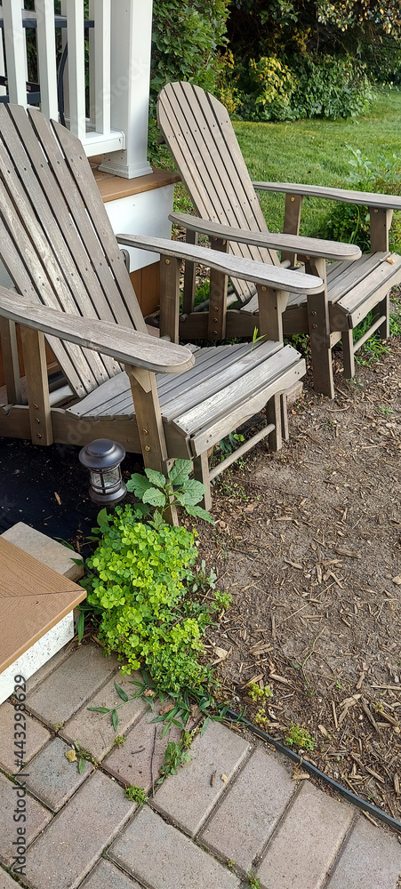chairs in a garden 