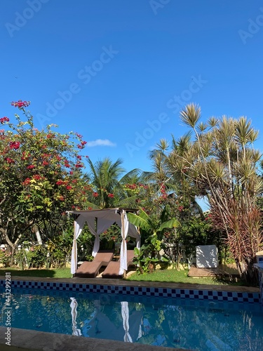 swimming pool with trees