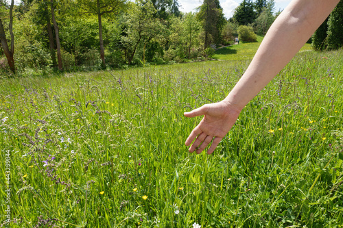 hand on grass