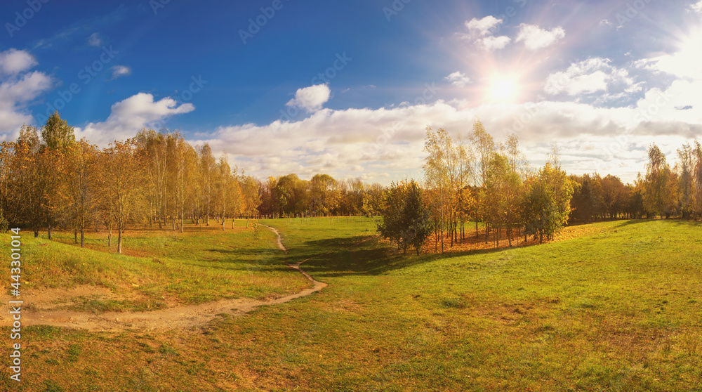 Beautiful autumn landscape. Autumn park with a carpet of fallen orange leaves maple and birch trees trees in bright yellow sunlight in nature.