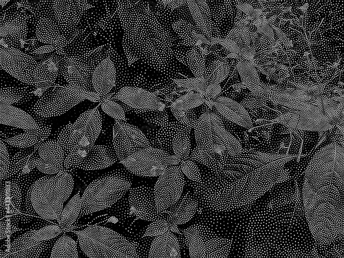 Stipple Technique Plants and Leaves