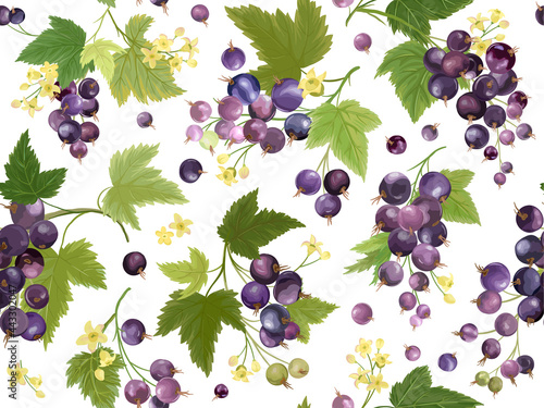 Seamless black currant pattern with summer berries, fruits, leaves, flowers background