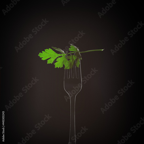 fork parsley leaves on black background