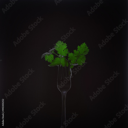 fork leaves cilantro on black background