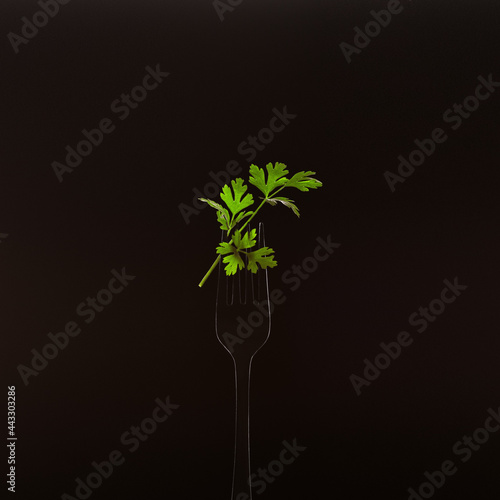 fork parsley leaves on black background