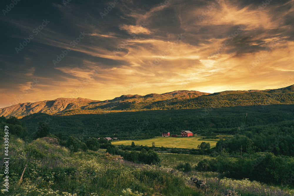Fototapeta premium Wild mountains of Hemsedal. The nature is wild and the scenery is set. Golden hour light and dramatic sky. Country life here is not bad. 