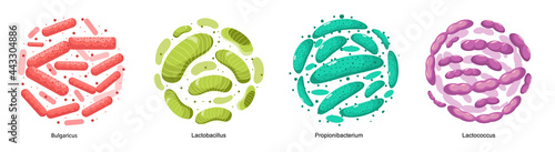 Set of Probiotic Bacteria Bulgaricus, Lactobacillus, Propionbacterium and Lactococcus. Good Microbes for Gut Health photo