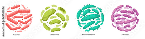 Set of Probiotic Bacteria Bulgaricus, Lactobacillus, Propionbacterium and Lactococcus. Good Microbes for Gut Health