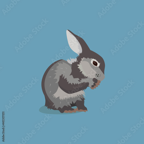 Decorative rabbit on a white background.