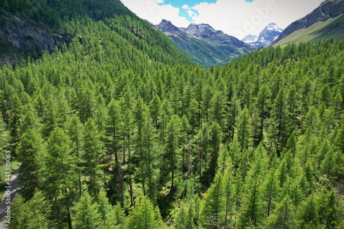 View from the top of Rhemes Notre Dame valley in Aosta Valley, Italy. photo