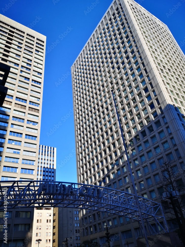 Obraz premium Tokyo city skyscraper sunny day