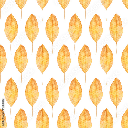 Pattern of walnut leaves  isolated on white background. Watercolor autumn leaves are hand drawn. Suitable for printed and stationery products  textiles  wallpapers.