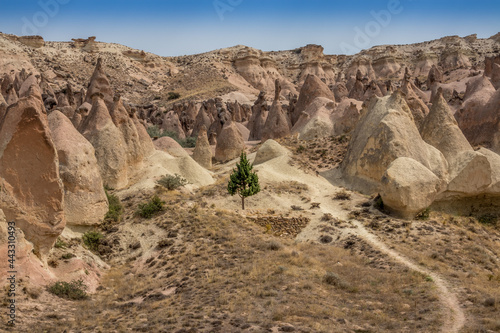 The infamous fairy chimneys of Cappadocia, Turkey