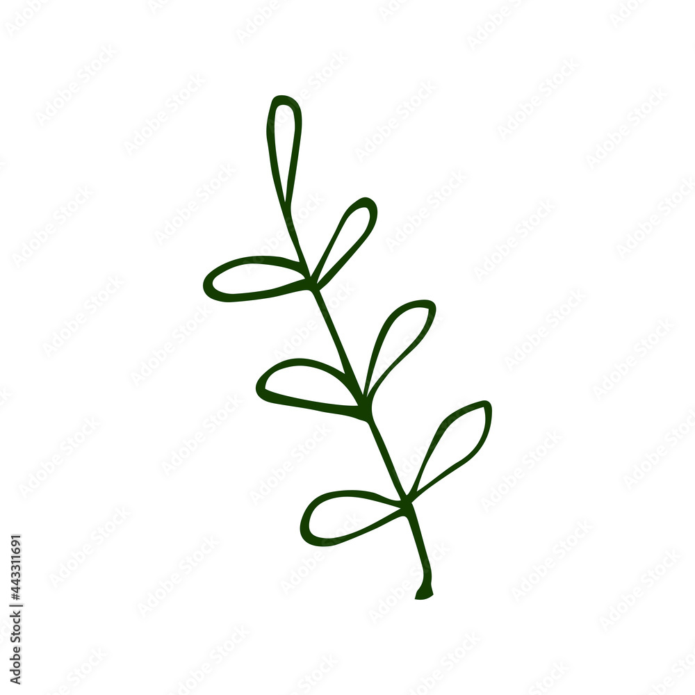 The leaf of the plant is in the form of a squiggle in the style of a doodle. Autumn leaf The leaf of the plant is in the form of a squiggle in the style of a doodle. Autumn leaf