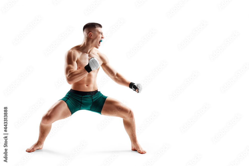Fighter stance. MMA fighter isolated on white background. Athlete. Side view. Sport Fighter stance. MMA fighter isolated on white background. Athlete. Side view. Sport