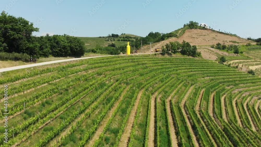 Drone shot, beautiful wine region of Goriška Brda in Slovenia, Europe. Vitis vinifera, the common grape vine, vineyards. Drone shot, beautiful wine region of Goriška Brda in Slovenia, Europe. Vitis vinifera, the common grape vine, vineyards.