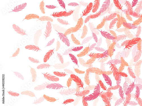 Fluffy twirled feathers on white design.