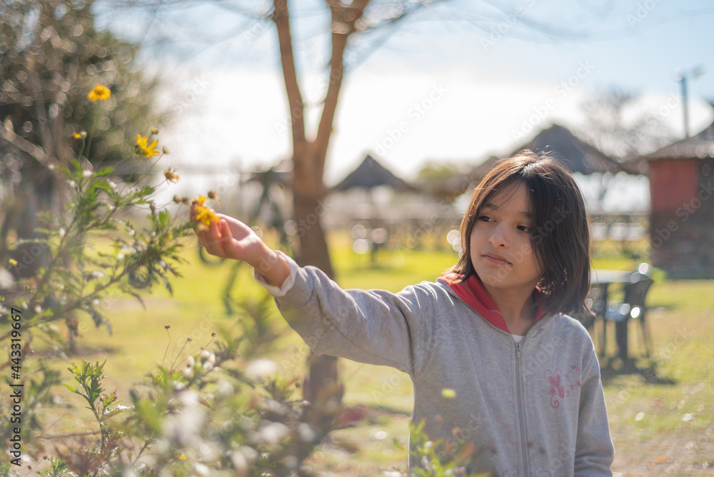 Niña en campo estancia al atardecer con flores y arboles Buenos Aires Argentina Niña en campo estancia al atardecer con flores y arboles Buenos Aires Argentina