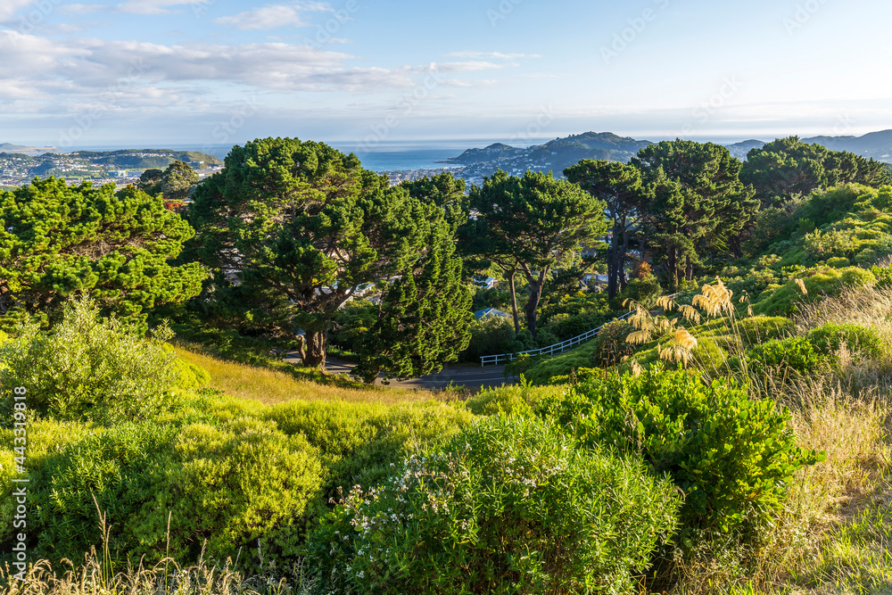 Obraz premium Beautiful New Zealand landscape from Mount Victoria in Wellington