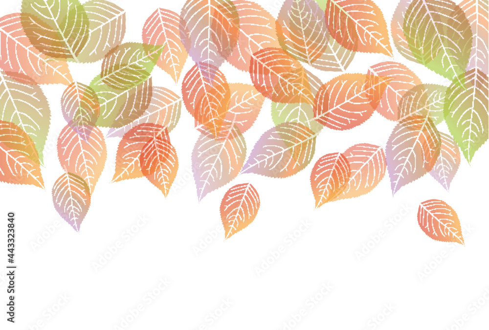 紅葉 葉 秋 背景 Stock Vector Adobe Stock