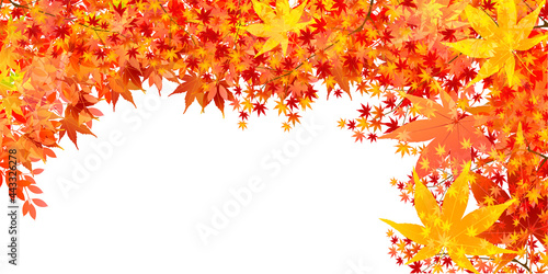 紅葉　もみじ　秋　背景