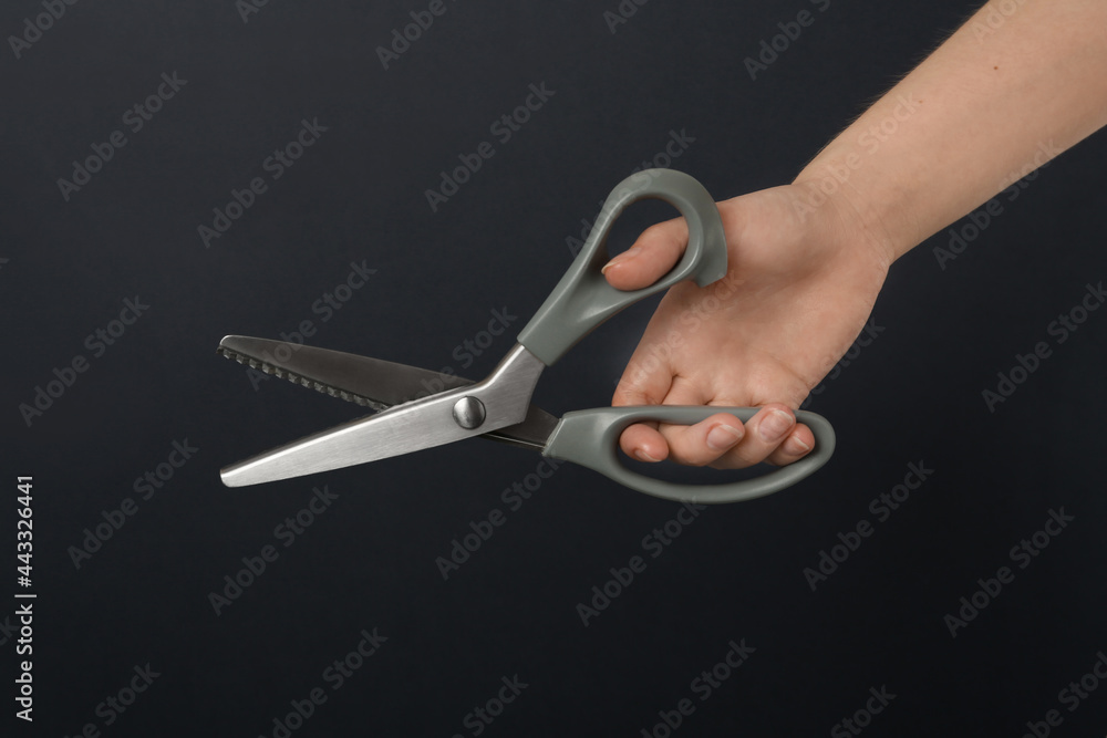 Obraz premium Woman holding sewing scissors on black background, closeup