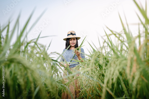 Rice Plantation Farming and Agriculture Concept, Farm Worker Working in Rice Fields. Portrait of Happy Female Asian Farmer in Organic Farmland at Countryside of Thailand. Tropical Rural Lifestyles