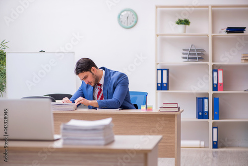 Young attractive employee working in the office