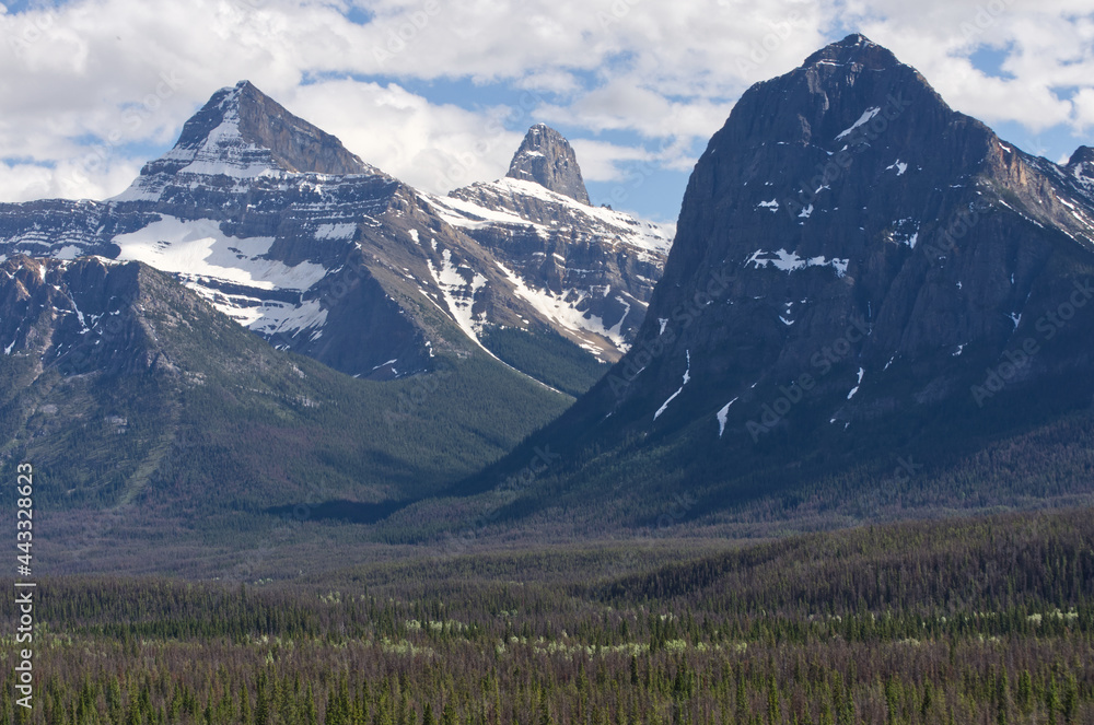 A View of Goats and Glaciers in Jasper National Park