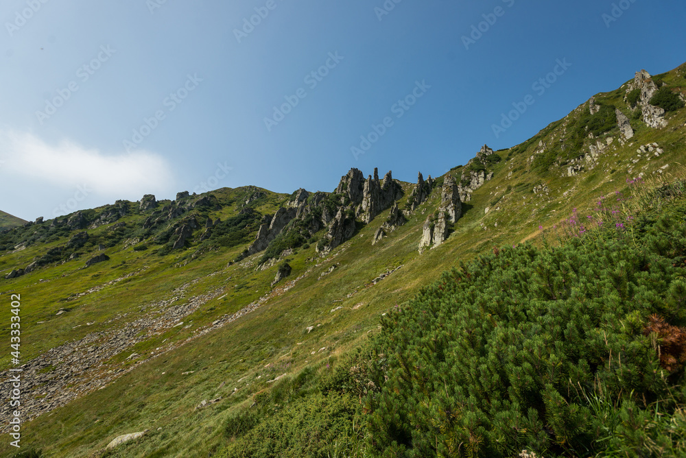 Shpyci in Carpathian Mountains, Ukraine