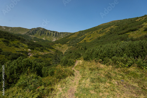 Road to Shpyci mountain in Ukraine
