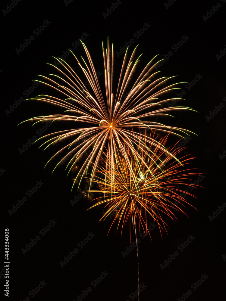 Fireworks exploding in the sky Fireworks exploding in the sky