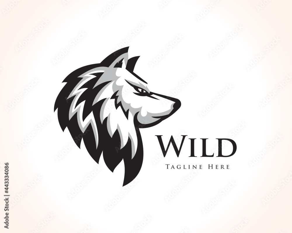 elegant head wolf drawing art logo design template illustration