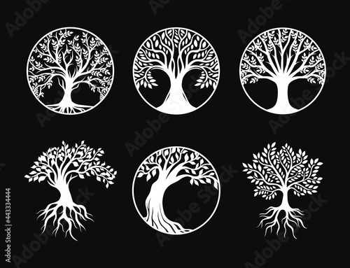 Set of tree of life decoration element