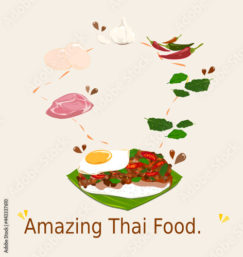 Spicy Thai basil with Pork and Egg (Pad Krapow Moo Sub) vector. it is a very delicious Thai food. Rice topped with stir-fried pork and basil leaves. street food in Thailand.