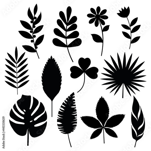 Set of leaves black stencil  vector isolated illustration