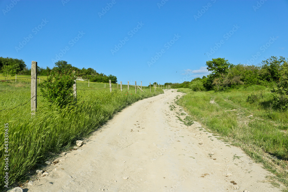 Obraz premium Road through the Karalez Valley, Crimea, Russia. Summer mountain landscape.